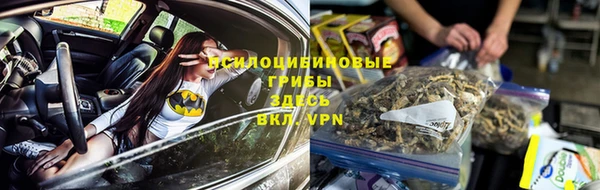 мескалин Касимов