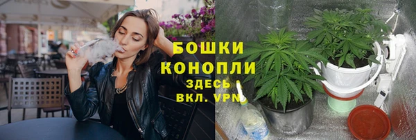 мескалин Касимов