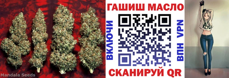 ТГК вейп  Купить где  Канск 