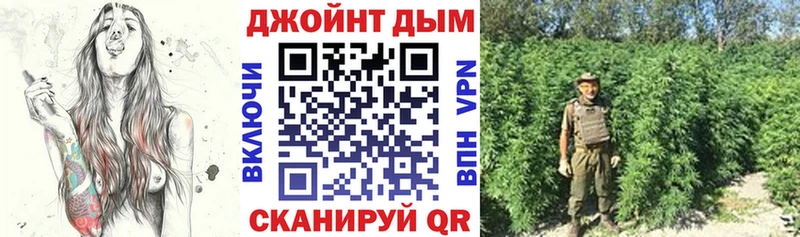 Купить закладки  Канск  Бошки Шишки гибрид 